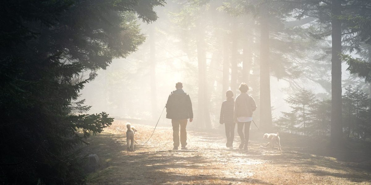 Weekend Day Trip Ideas That Make Family Time an Adventure