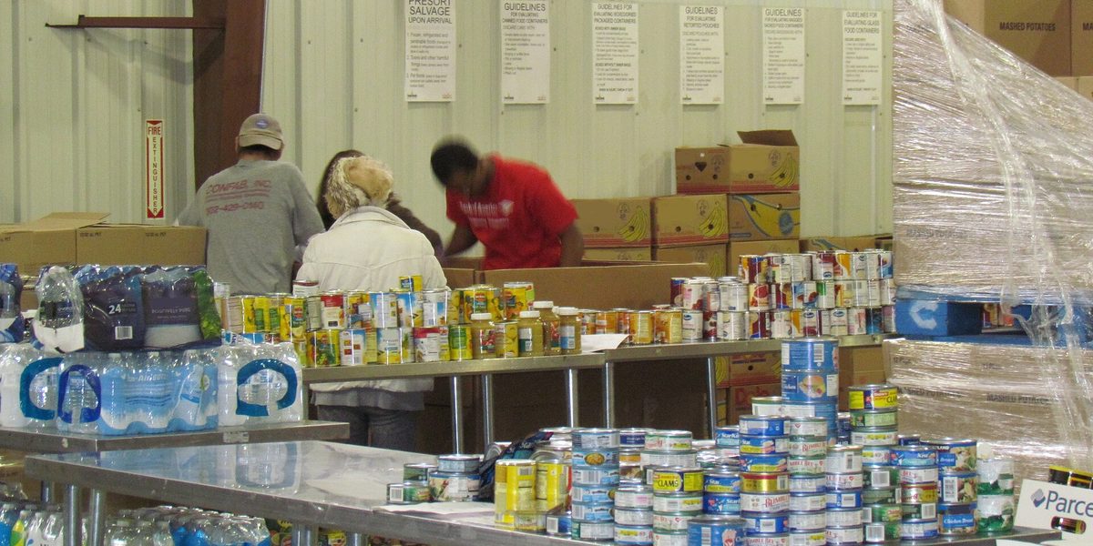 Volunteer Ideas Families Can Do Together to Give Back
