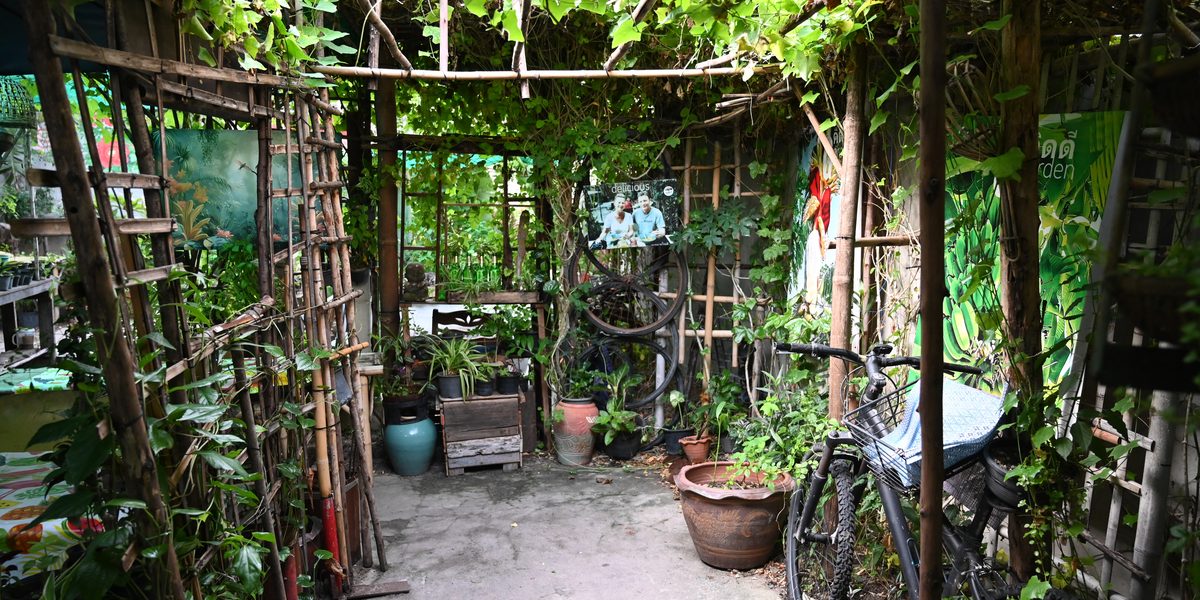 Container Garden Ideas for Patios, Balconies, and Tiny Corners