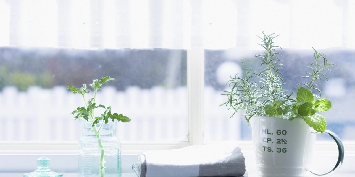 Windowsill Herb Garden Ideas for Fresh Flavor at Home